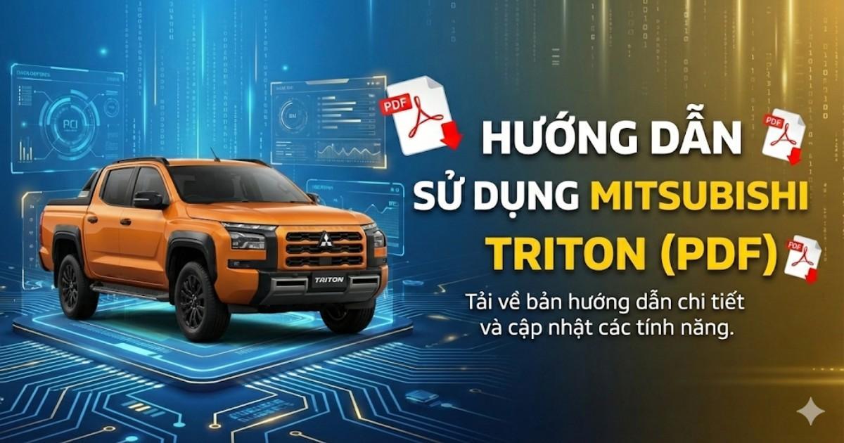 Sách Hướng Dẫn Sử Dụng Triton bản PDF